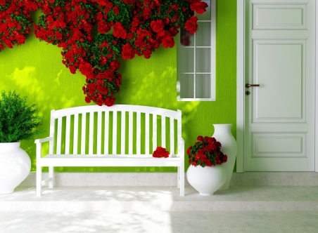 门,窗,商店,鲜花,绿色墙纸,温馨室内图片